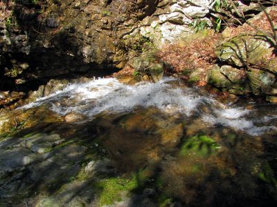 Devil's Slide Falls
Taken 4-3-2011
