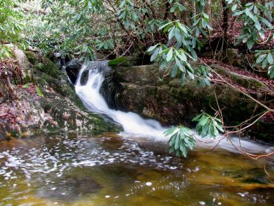 falls just above top of Upper Dick Creek Falls Taken 3-3-2012
