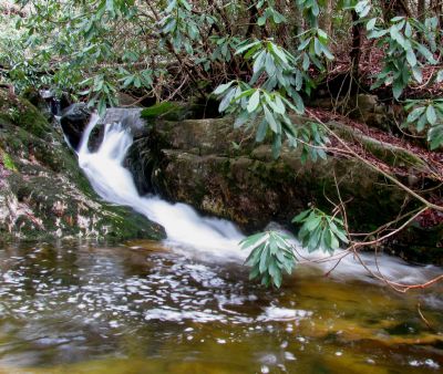 falls just above top of Upper Dick Creek Falls Taken 3-3-2012
