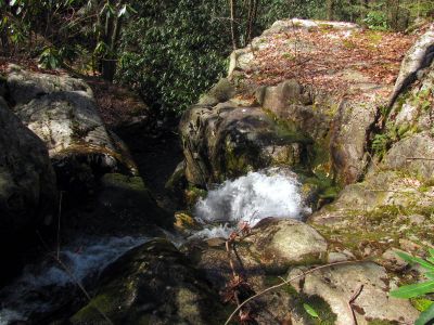 The corkscrew of the Upper Dick Creek Falls Taken 3-10-2012
