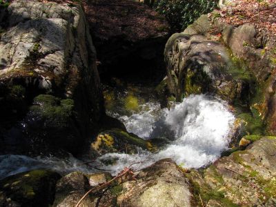The corkscrew of the Upper Dick Creek Falls Taken 3-10-2012
