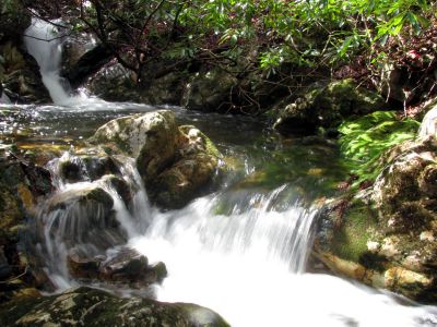 Small set of falls just above the top of the lower dick creek falls Taken 3-3-2012
