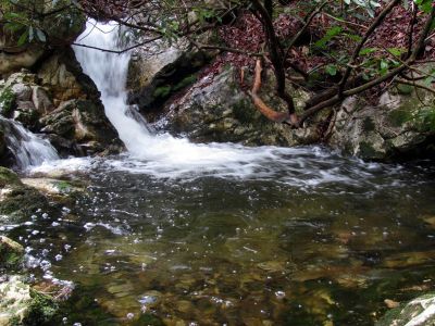  Small set of falls just above the top of the lower dick creek falls Taken 3-3-2012
