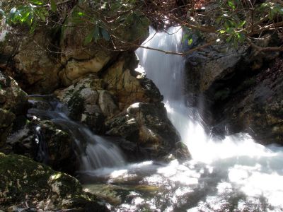 Small falls and cascades located just above the top of the Lower Dick Creek Falls  Taken 3-10-2012
