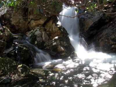 Small falls and cascades located just above the top of the Lower Dick Creek Falls  Taken 3-10-2012
