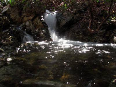 Small falls and cascades located just above the top of the Lower Dick Creek Falls  Taken 3-10-2012
