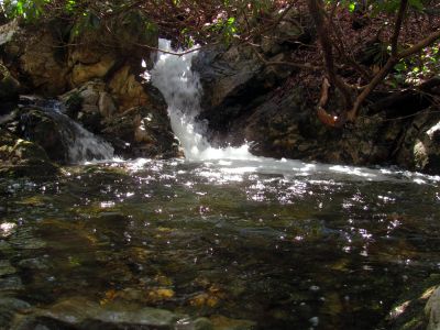 Small falls and cascades located just above the top of the Lower Dick Creek Falls   Taken 3-10-2012
