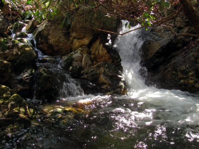 Small falls and cascades located just above the top of the Lower Dick Creek Falls   Taken 3-10-2012

