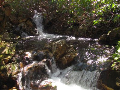 Small falls and cascades located just above the top of the Lower Dick Creek Falls  Taken 3-10-2012
