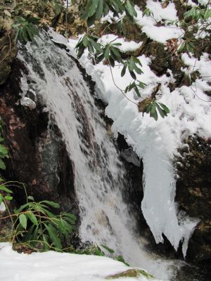 Dick Creek Falls
Taken 1-16-2010

