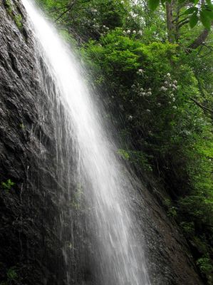 Douglas Falls (North Carolina)
Taken 7-10-2011
