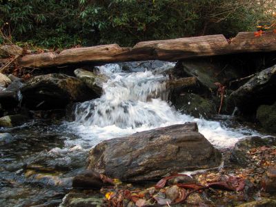 'Bubbling Spring Branch' where the Flat Laurel Creek Trail starts - Taken 10-22-2014
