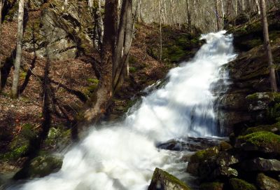 Taken 4-4-2015
