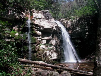 Gentry Falls
Lower part taken 4-30-2011

