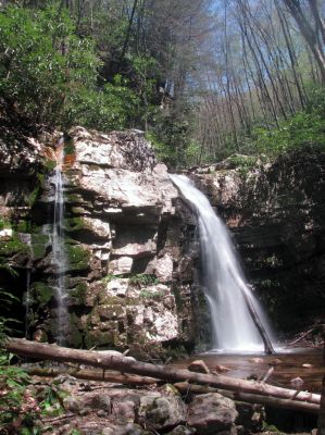 Gentry Falls
Lower part Taken 4-30-3011
