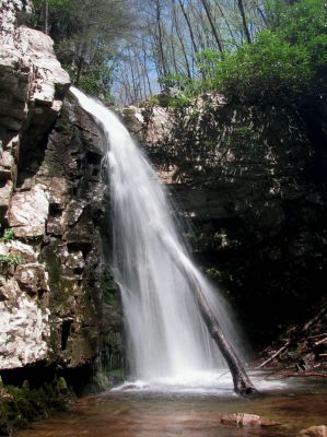 Gentry Falls
Lower part Taken 4-30-3011
