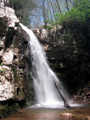 Gentry Falls
Lower part Taken 4-30-3011
