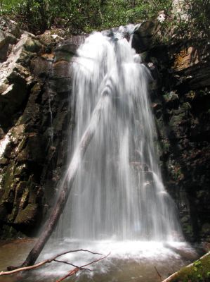 Gentry Falls
Lower part Taken 4-30-3011
