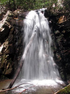 Gentry Falls
Lower part Taken 4-30-3011
