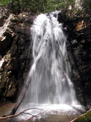 Gentry Falls
Lower part Taken 4-30-3011
