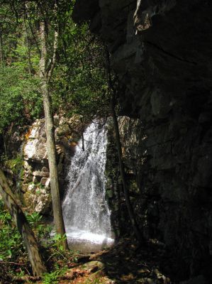 Gentry Falls
Lower part Taken 4-30-3011
