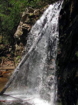 Gentry Falls
Lower part Taken 4-30-3011
