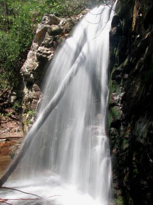 Gentry Falls
Lower part Taken 4-30-3011
