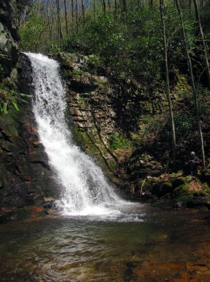 Gentry Falls
Upper part Taken 4-30-3011
