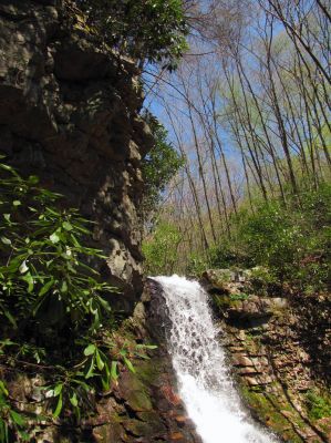 Gentry Falls
Upper part Taken 4-30-3011
