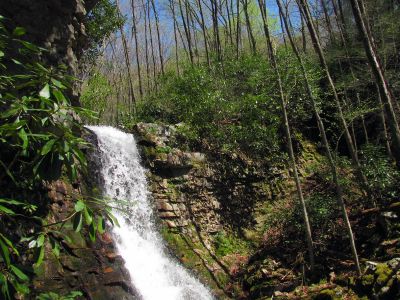 Gentry Falls
Upper part Taken 4-30-3011
