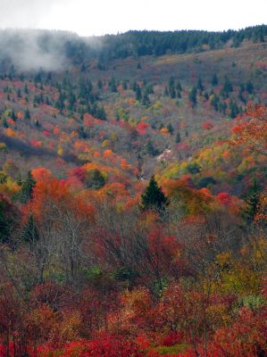 Zoomed view of the Upper Falls in distance from the Graveyard Fields meadows Taken 10-15-2013
