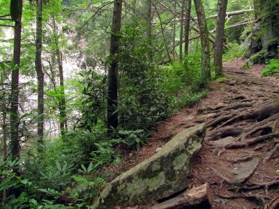 View of upper part of falls as seen from near the end of the side trail to the falls. Taken 7-24-2012.
