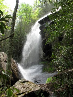 Jones Falls
Taken 5-1-2010
