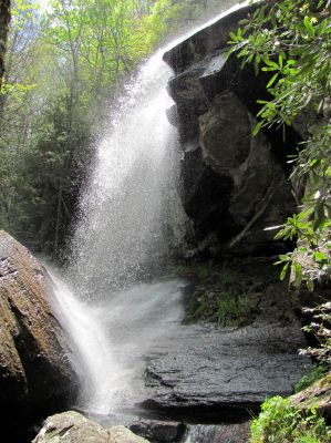 Jones Falls
Taken 5-1-2010
