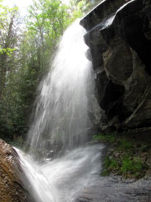 Jones Falls
Taken 5-1-2010
