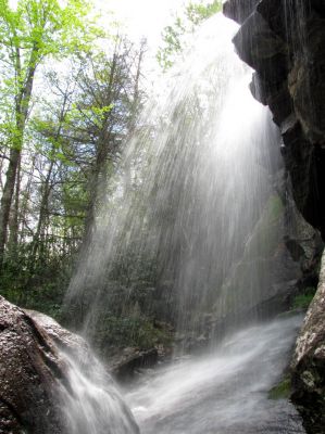 Jones Falls
Taken 5-1-2010
