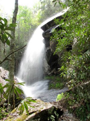 Jones Falls
Taken 5-1-2010
