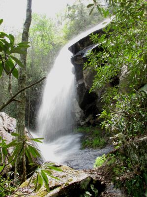 Jones Falls
Taken 5-1-2010
