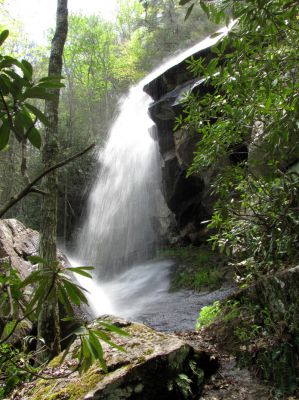 Jones Falls
Taken 5-1-2010
