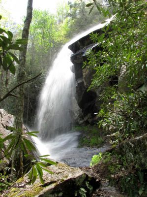 Jones Falls
Taken 5-1-2010
