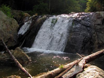 Taken 7-31-2011
