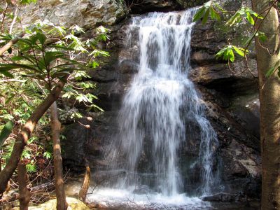 Lilybeth Falls
Taken 4-3-2011
