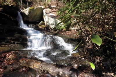 Second  falls found on Star Branch  (enters into Little Stony Creek)  Taken 12-11-2014
