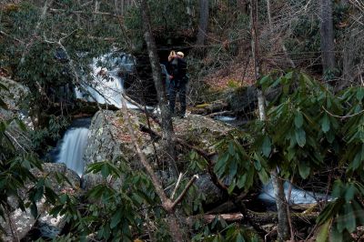 There are many falls on Corder Branch . These are just a few (Taken 12-11-2014) 
