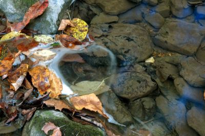 Taken 9-20-2014
