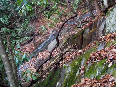 Upper Long Branch Falls
11-13-2010
