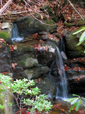 Lower Long Branch Falls #2
11-13-2010
