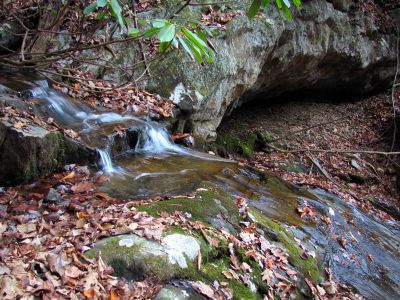Long Branch Creek
Third set of unlisted falls   11-13-2010
