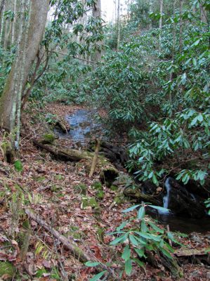 Long Branch Creek
First set of unlisted falls  11-13-2010
