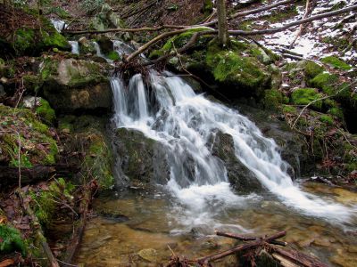 Upper Longarm Branch Falls
Taken on 3-12-2011
